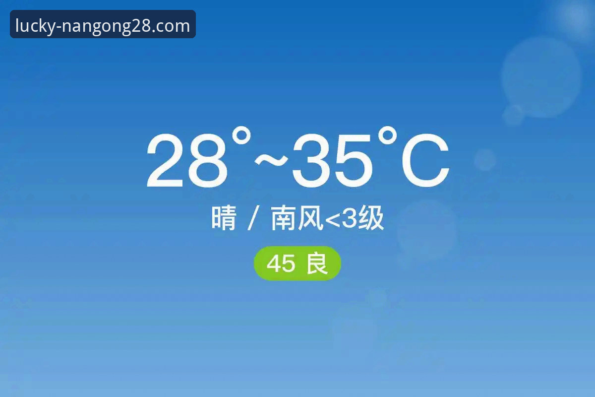 深度揭秘：南宫28APP软件下载背后的行业趋势与用户选择真相