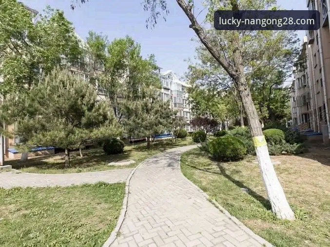 南宫28APP官方网站安装失败 南宫28APP官方网站安装失败最新解决方案:新手常见问题与应对技巧